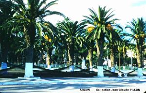 Arzew 186- Pillon